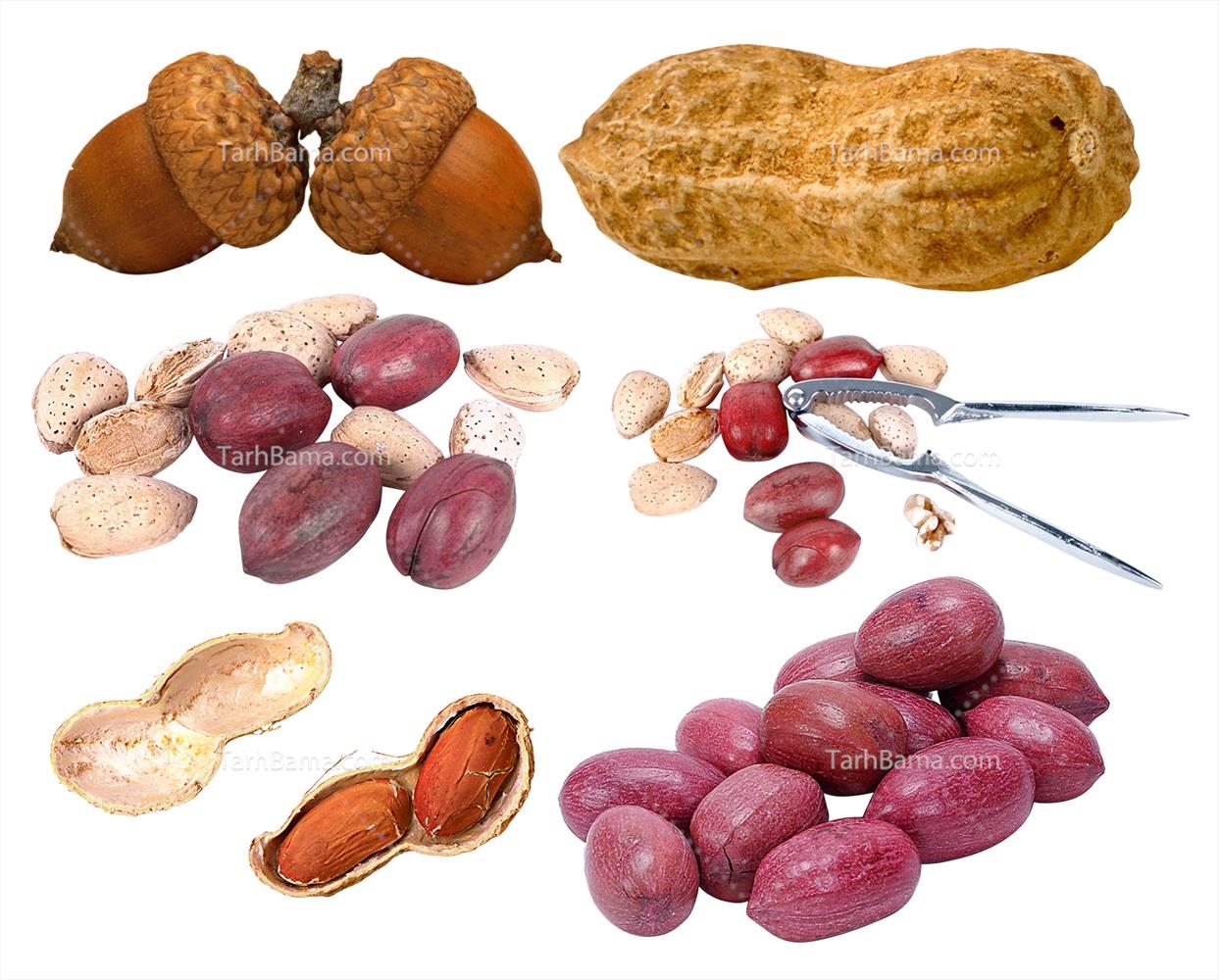 تصاویر آجیل و خشکبار